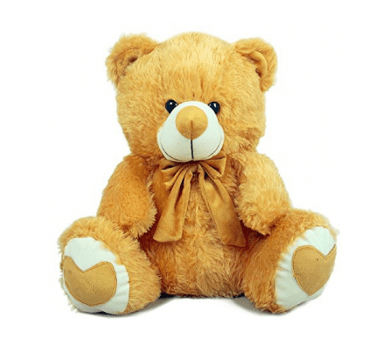 Teddy Bear Best Valentines Day Gift