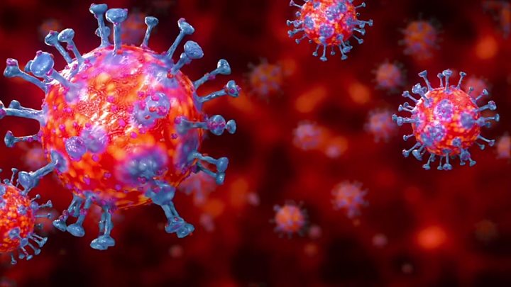 Coronavirus Quarantine: Interesting Things To Do While at Home
