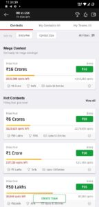 Play Dream11 IPL Matches